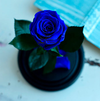 №5 mini темно синяя Роза в колбе1.780 руб.