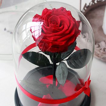 №15 Classic Красная роза в колбе2.250 руб.